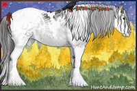 Horse Color:White Spotted Grullo Splash Blanket 