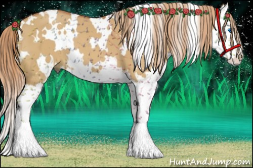 Horse Color:White Spotted Red Dun Splash 