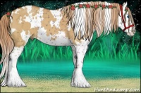 Horse Color:White Spotted Red Dun Splash 