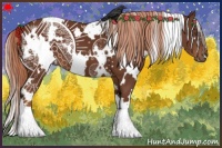 Horse Color:White Spotted Chestnut 