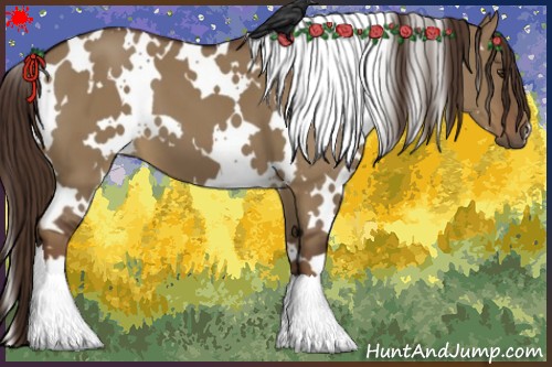 Horse Color:White Spotted Liver Red Dun 