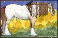 Horse Color:White Spotted Sable Cream Champagne Dun Appaloosa 