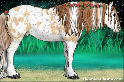 Horse Color:White Spotted Gold Champagne Dun Splash Appaloosa