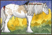 Horse Color:White Spotted Silver Buckskin Dun Splash Appaloosa 