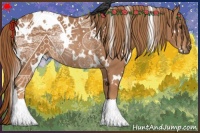 Horse Color:White Spotted Chestnut Rabicano 