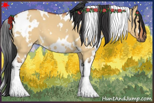 Horse Color:White Spotted Bay Dun