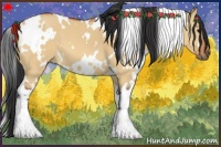 Horse Color:White Spotted Bay Dun