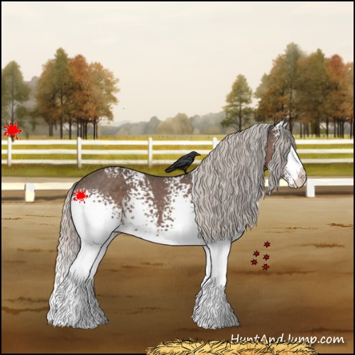 Horse Color:White Spotted Silver Black 