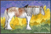 Horse Color:White Spotted Silver Brown