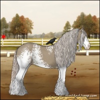 Horse Color:White Spotted Silver Grullo Varnish 