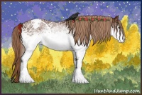 Horse Color:White Spotted Chestnut Varnish 