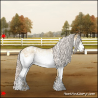 Horse Color:White Spotted Silver Amber Champagne Dun Appaloosa 