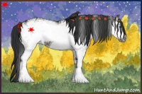 Horse Color:White Spotted Grullo Roan Frame 