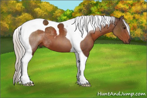 Horse Color:Silver Brown Tobiano 