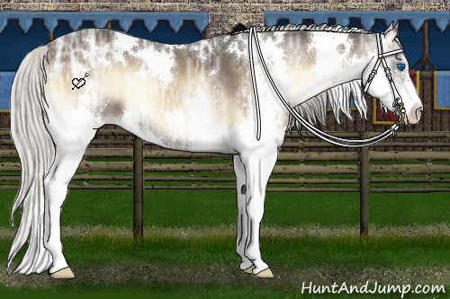 Horse Color:White Spotted Silver Brown Ice Onyx Splash 