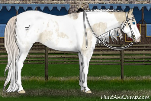 Horse Color:Silver Brown Ice Roan Dun Splash Tobiano Appaloosa Rabicano