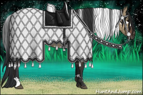 Horse Color:White Spotted Brown Dun Rabicano 