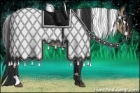 Horse Color:White Spotted Brown Dun Rabicano 