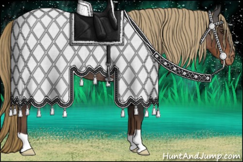 Horse Color:Liver Red Roan Appaloosa 