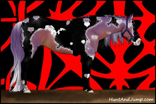 Horse Color:Watercolor Liver Chestnut Splash Tobiano 