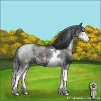 Horse Color:Black Sabino Splash