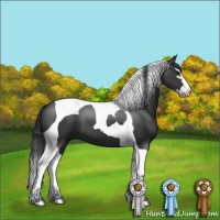 Horse Color:Black Sabino Splash Tobiano 