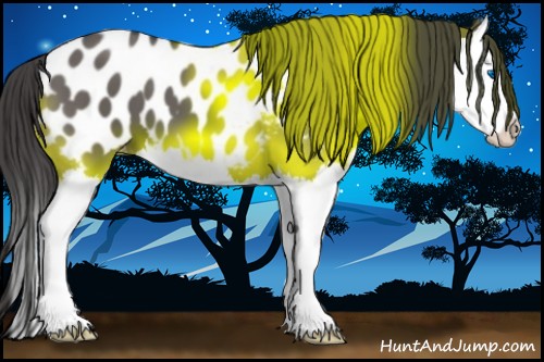 Horse Color:Grullo Splash Blanket