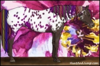 Horse Color:Painted White Spotted Liver Chestnut Near Leopard Rabicano 