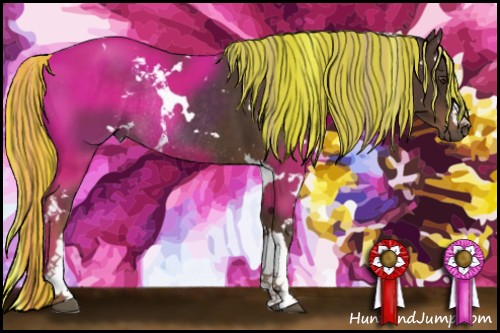 Horse Color:Painted White Spotted Liver Chestnut Rabicano 