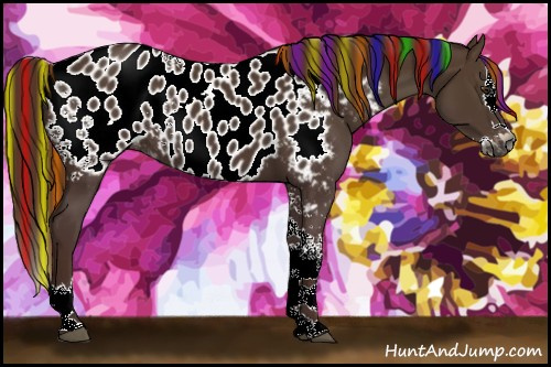Horse Color:Gray Painted White Spotted Chestnut Splash Appaloosa Rabicano 