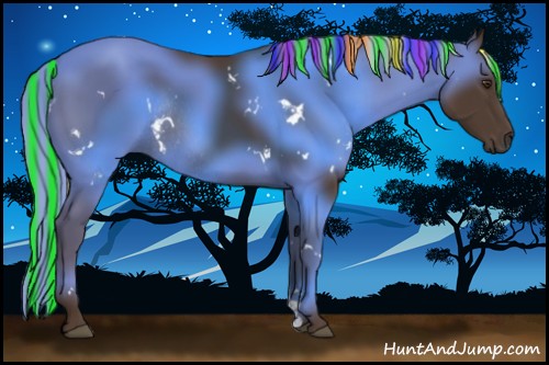 Horse Color:Painted White Spotted Liver Chestnut Rabicano 