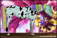 Horse Color:Painted White Spotted Gold Cream Champagne Roan Dun Appaloosa Rabicano 