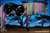 Horse Color:Painted White Spotted Silver Brown Appaloosa Rabicano 