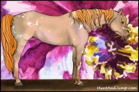 Horse Color:Painted White Spotted Red Dun Rabicano 