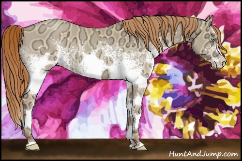 Horse Color:White Spotted Gold Champagne Ice Roan Dun