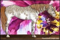 Horse Color:White Spotted Gold Champagne Ice Roan Dun 