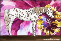 Horse Color:White Spotted Liver Chestnut Leopard Rabicano 