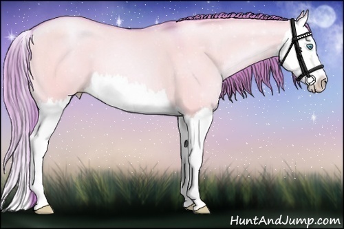 Horse Color:Watercolor Buckskin Pearl Dun Splash 