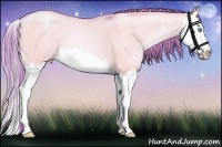 Horse Color:Watercolor Buckskin Pearl Dun Splash