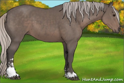 Horse Color:Silver Black Sabino