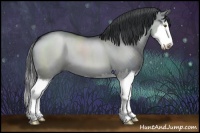 Horse Color:Grullo Chinchilla Sabino Splash 