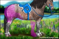 Horse Color:Bay Ice