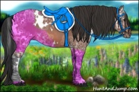 Horse Color:White Spotted Bay Ice Rabicano