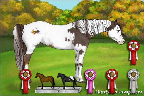 Horse Color:Liver Red Roan Sabino Splash Frame Appaloosa  and Liver Red Roan Sabino Splash Appaloosa 