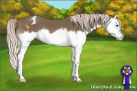 Horse Color:Chocolate Palomino Sabino Splash Varnish 
