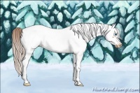 Horse Color:Chocolate Palomino Roan Splash Frame Blanket