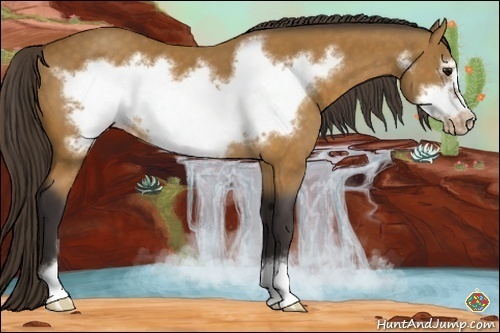 Horse Color:Buckskin Sabino Frame Varnish 