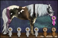 Horse Color:Watercolor White Spotted Silver Bay Ice Dun Frame