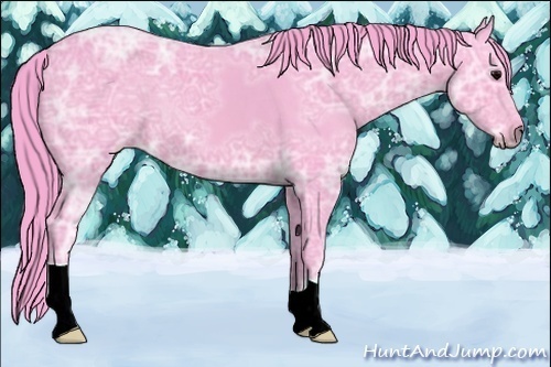 Horse Color:Watercolor Black Ice 