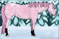 Horse Color:Watercolor Black Ice 